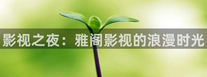 草莓视频哟哟资讯网：影视之夜：雅阁影视的浪漫时光
