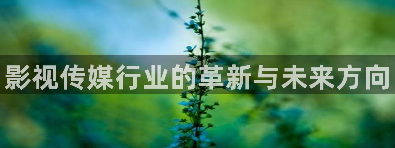 草莓视频在线观看app：影视传媒行业的革新与未来方向