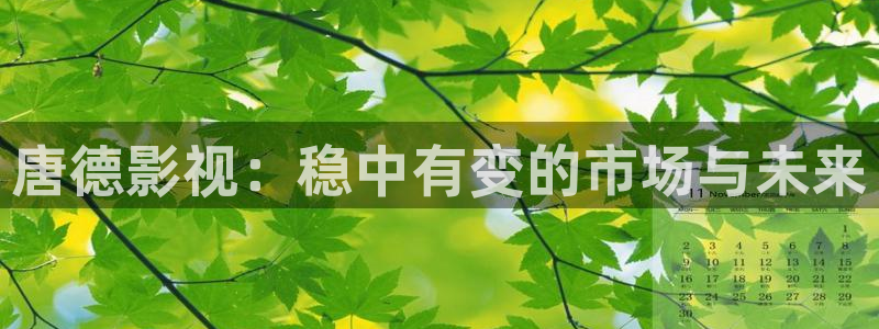 草莓视频私人：唐德影视：稳中有变的市场与未来