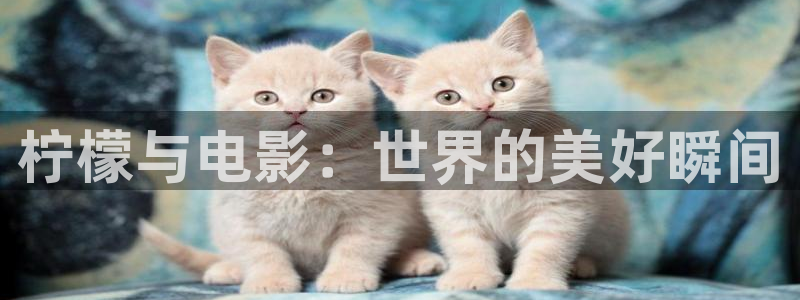 www..cn.com草莓视频：柠檬与电影：世界的美好瞬间