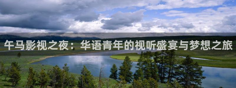 草莓育苗视频：午马影视之夜：华语青年的视听盛宴与梦想之旅