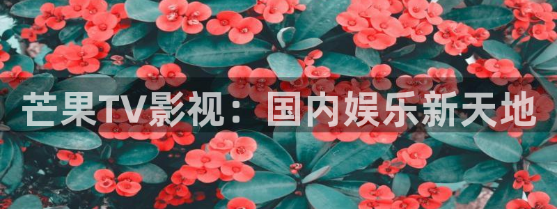 下载草莓视频在线：芒果TV影视：国内娱乐新天地