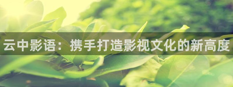 草莓69视频：云中影语：携手打造影视文化的新高度