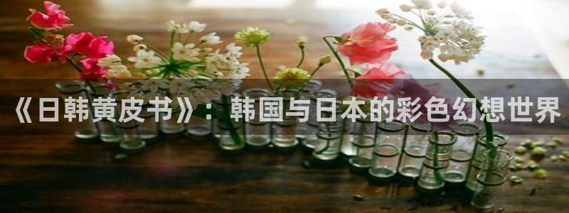草莓视频app..：《日韩黄皮书》：韩国与日本的彩色幻想世界