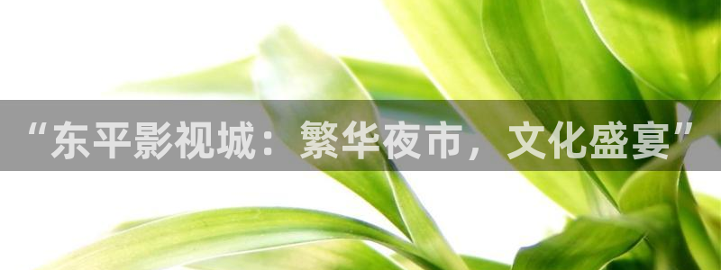 草莓生长的视频：“东平影视城：繁华夜市，文化盛宴”
