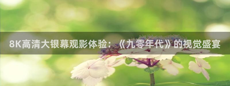 草莓的视频大全集：8K高清大银幕观影体验：《九零年代》的视觉盛宴